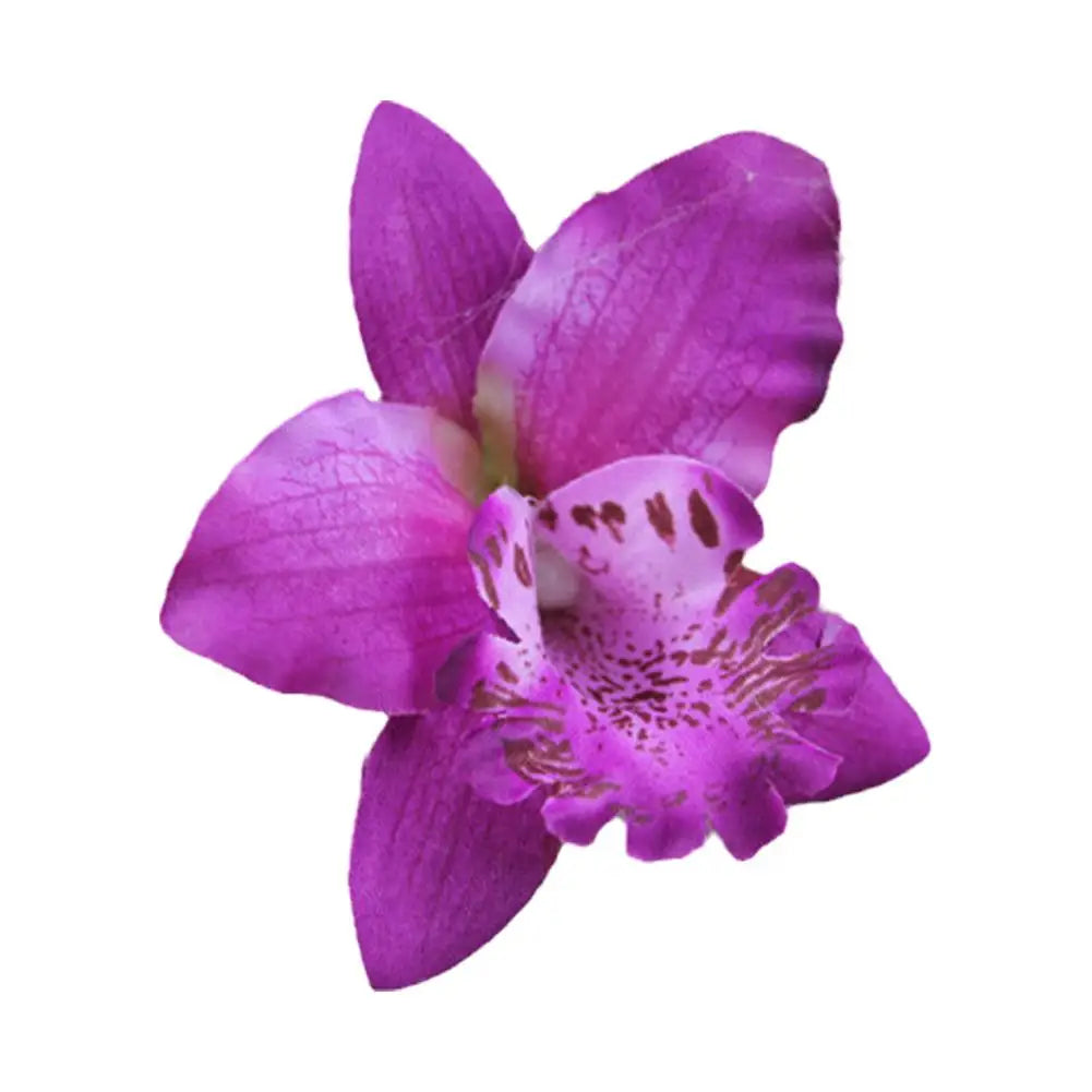 Pinzas Haole Tropical Y2K – Hibisco & Orquídea
(Pack de Flores de Hi'ilawe para el Pelo)🌺