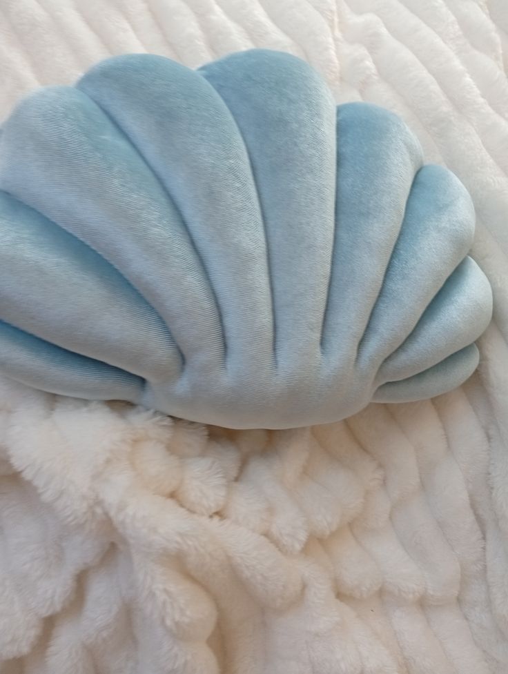 Concha acolchada 🐚